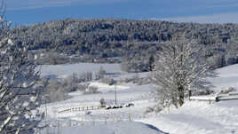 De ma fenêtre... (4)