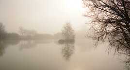 Silhouettes et reflets