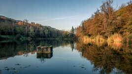 Etang de la Toussatiere