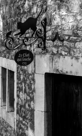 optique pour chat !!!