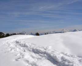 Apparition de la surprise