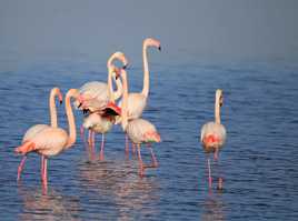 Promenade en famille