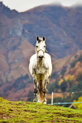 presque libre !!!