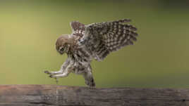 Arrivée silencieuce