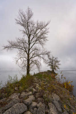 Jour gris de novembre