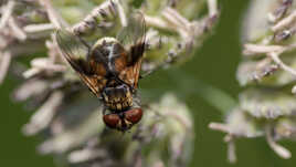 Je fait les gros yeux