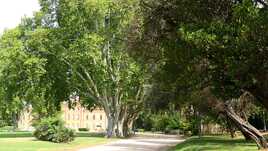 Domaine départemental du château d'Avignon