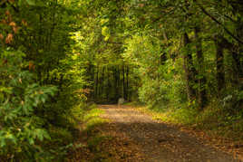 Bientôt l’automne