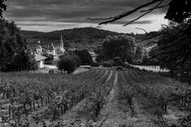 Blottie au fond de la vallée