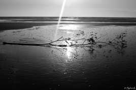 Sur la plage abandonnée...