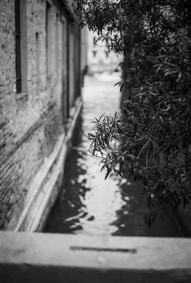Venise argentique-017