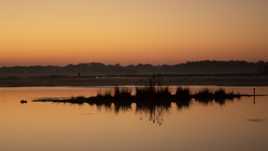 Balade au petit matin