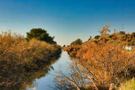 Salins Hyères