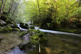 Rivère le Guiers Vif