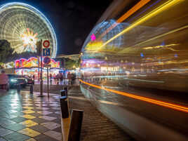 Animations Niçoises