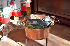 Petit nid douillet .