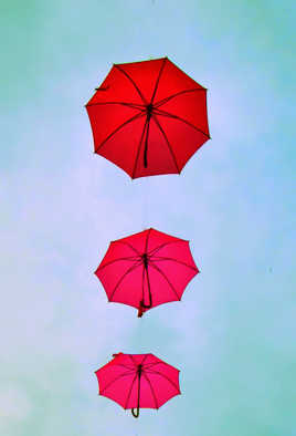 Ils ne sont pas de Cherbourg