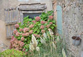 Ambiance vintage (1)