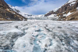 Le Glacier Athabasca