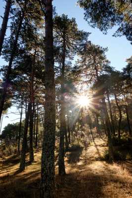 Je vous souhaite une bien meilleure année...