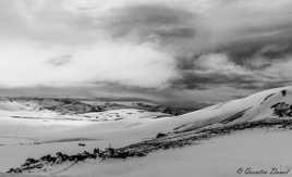 Déambulation islandaise