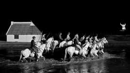Dans la nuit camarguaise