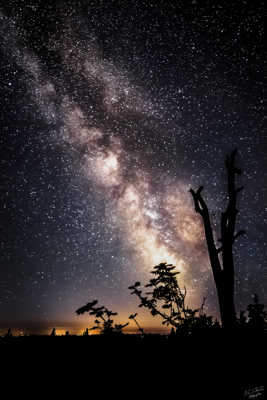 MilkyWay