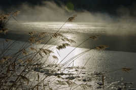 Brume sur le lac