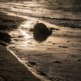 Dernières lumières