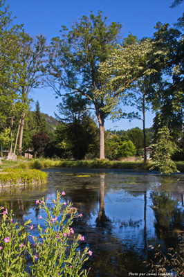 Ciel ardennais