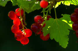 Sous le soleil exactement...