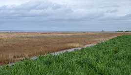 Balade dans la baie