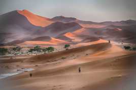 Sur le fil des dunes