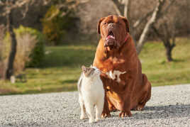 Ils s'apprécient...