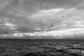 Nuages sur le Léman