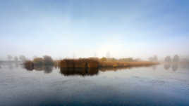 Un matin sur l'étang de la plaine...