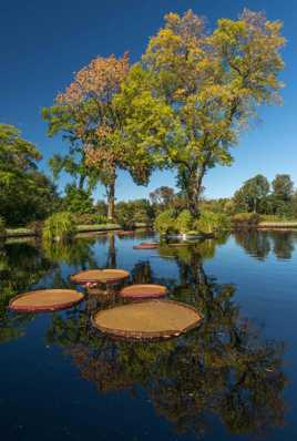 Jardin d'eau