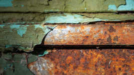 Soudain une apparition!