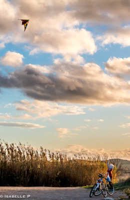voler comme un oiseau