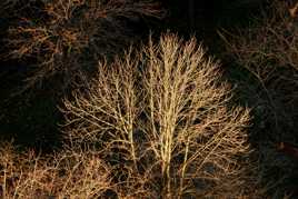 J'en ai mis du temps pour les trouver