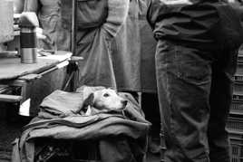 Jour de marché à Lille