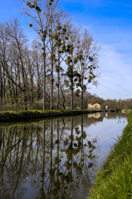 Canal du Berry