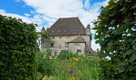 Château d'Ivoire