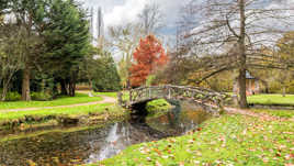 Paysage de dessin animé