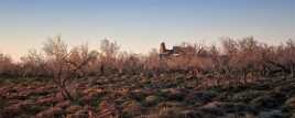 Les couleurs de la Camargue