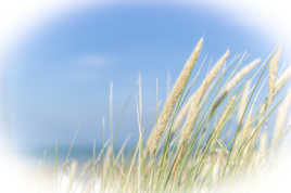 légére brise au cap gris nez