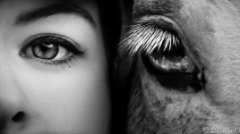 S'aimer, c'est regarder dans la même direction...