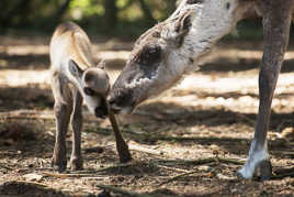 Un petit coup de pouce