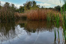 Nature d'eau