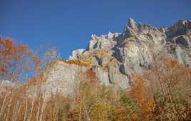 Montagne en automne